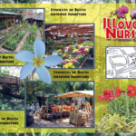 3 Fold Brochure Design for Nursery