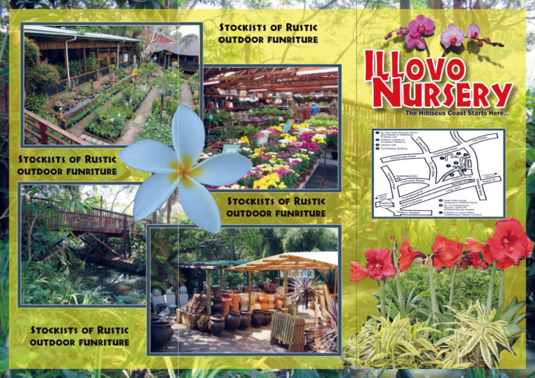 Read more about the article 3 Fold Brochure Design for Nursery